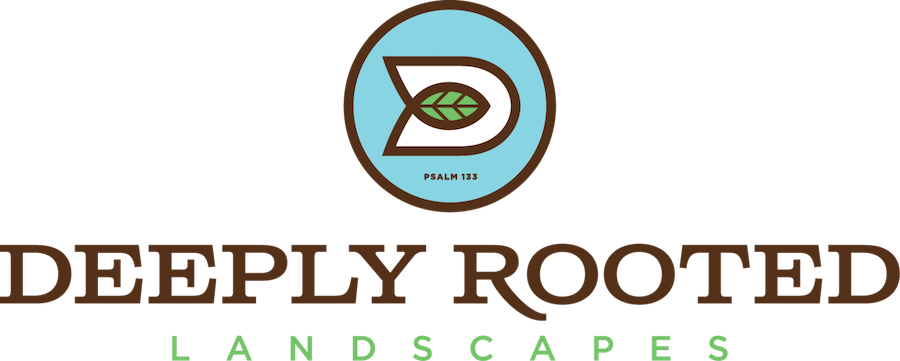 Deeply Rooted, web design, Connect Design 360